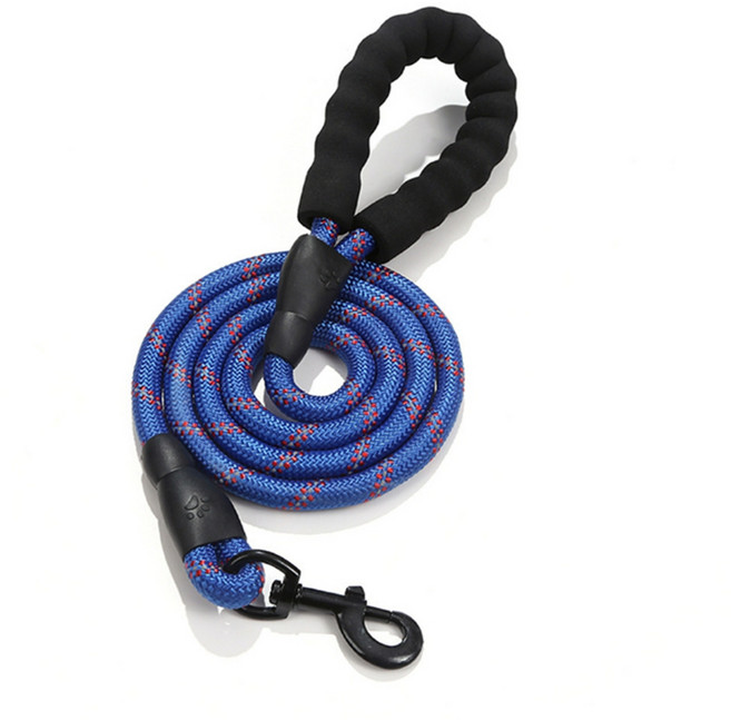 빈앤코 중대형견 스트롱 리드줄, 블루, 1개