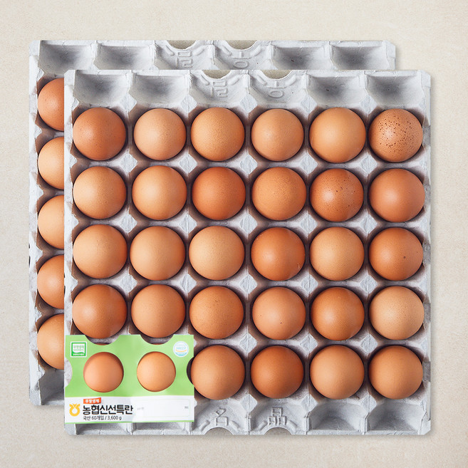 농협 무항생제 인증 신선 특란 3600g, 1개, 60구