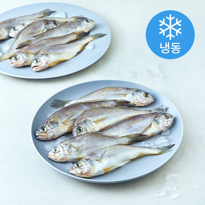 영광 법성포 굴비 20미 (냉동), 1.2kg, 1팩