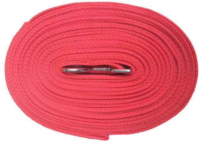 제제펫 반려동물 정말 긴 리드줄, 레드, 1개