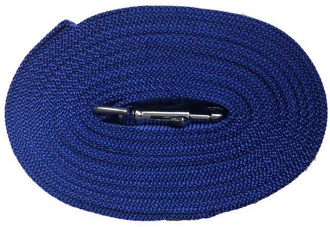 제제펫 반려동물 정말 긴 리드줄, 블루, 1개