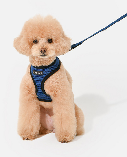 퍼피아 강아지 소프트 하네스 A PDCF-AC30, 로얄블루, 1개