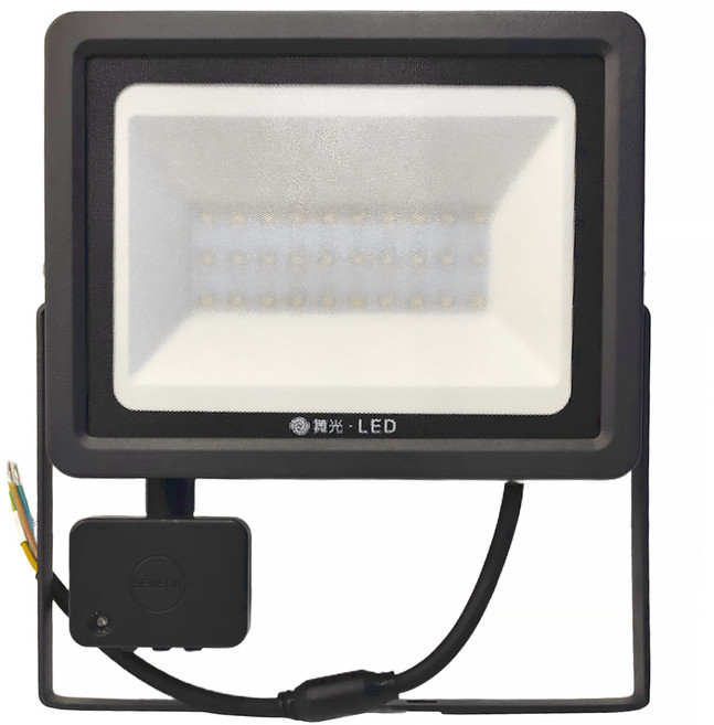 DANCELIGHT 舞光 感應泛光燈 30W 6500K 229 x 248 x 42mm 白光, 1個