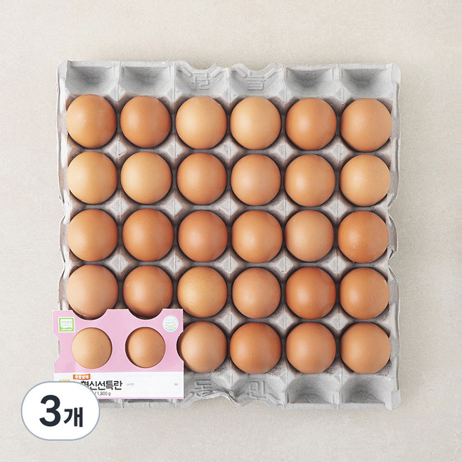 농협 무항생제 인증 신선 특란 1.8kg, 3개, 30구