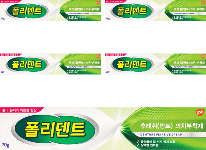 폴리덴트 후레쉬 민트 의치 부착재 70g, 1개입, 5개