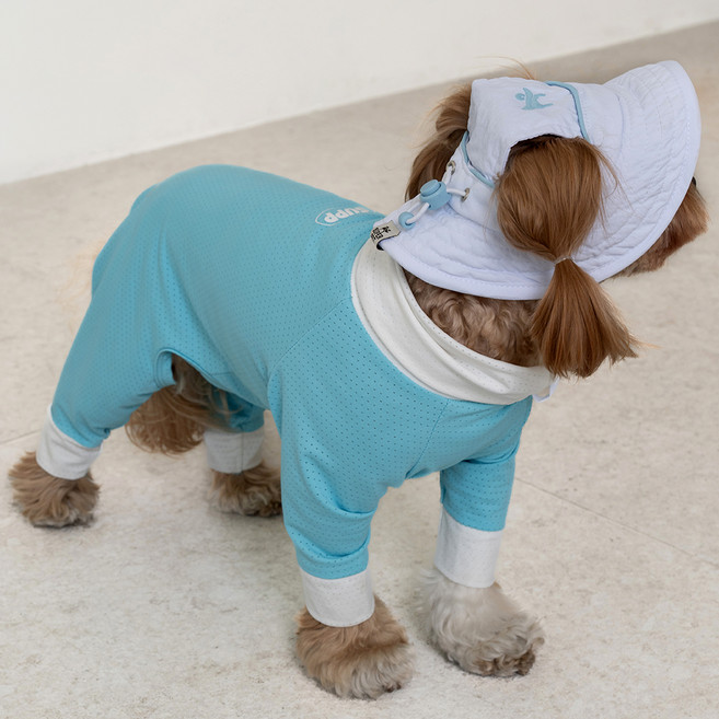 도그아이 강아지옷 올인원 쿨링수트, 스카이, 1개
