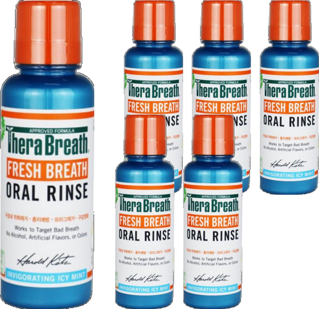 테라브레스 프레시브레스 가글 미니사이즈 아이시민트 향, 150ml, 6개