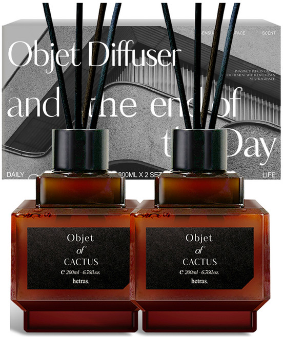 헤트라스 오브제 디퓨저, 선인장, 200ml, 2개