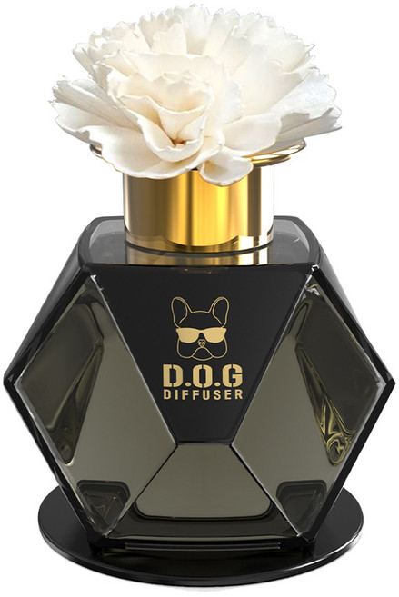 도그독 프리미엄 퍼퓸 차량용 디퓨저 200ml 본품, 화이트코튼, 1개