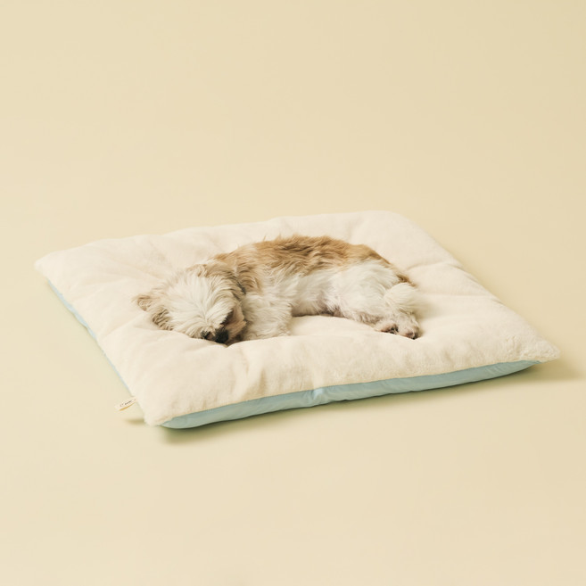 동원아르르 꿀잠 이불, 크리미 블루, 1개