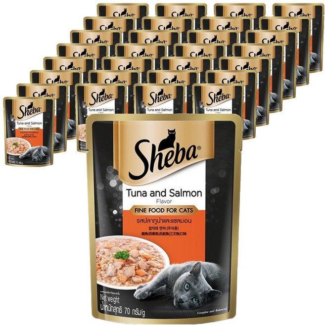 쉬바 1세이상 고양이 주식 파우치, 연어+참치, 70g, 48개