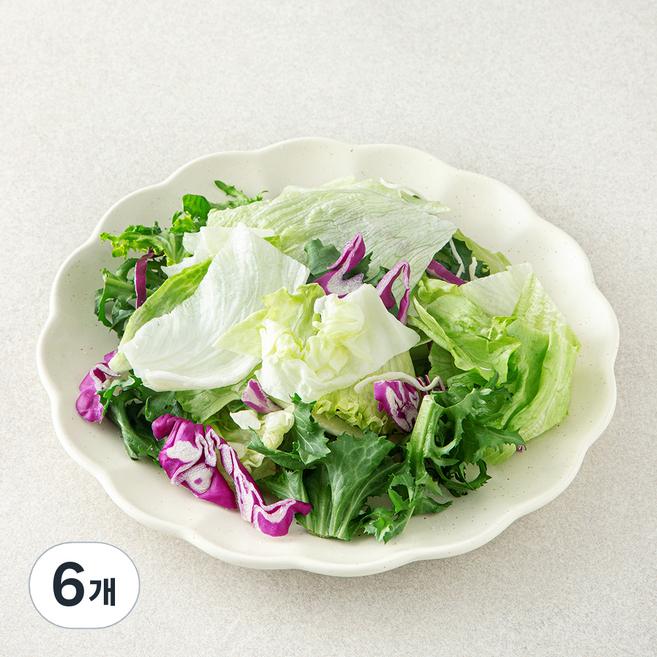 데일리 베이직 믹스 파우치 샐러드 채소, 80g, 6개, 1개입