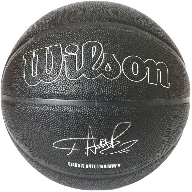 Wilson NBA Player Evergreen Giannis 籃球, WZ4026701XB, 1個
