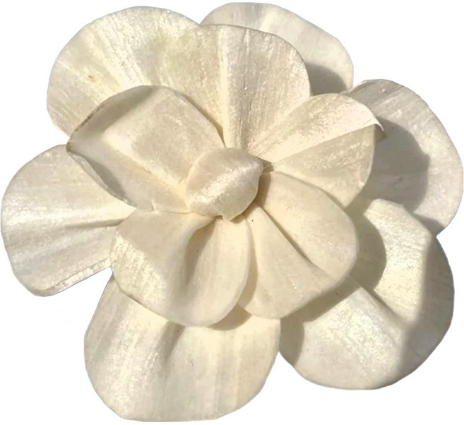 6.5cm康乃馨索拉花10入, 象白