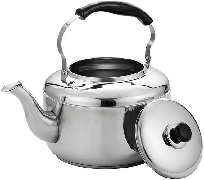 데이세븐 도담 IH 휘슬 인덕션 스테인레스 주전자, 7L, 혼합색상, 1개