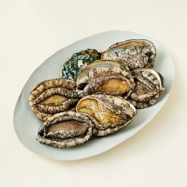 완도맘 산지직송 활전복 (냉장), 1kg 내외(왕특대, 7마리), 1개