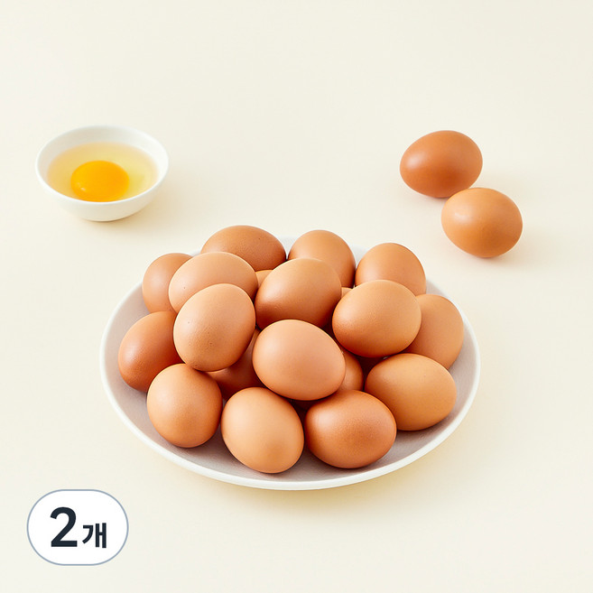 가농 오늘낳은 농장직송 1+ 등급 초란, 25구, 2개