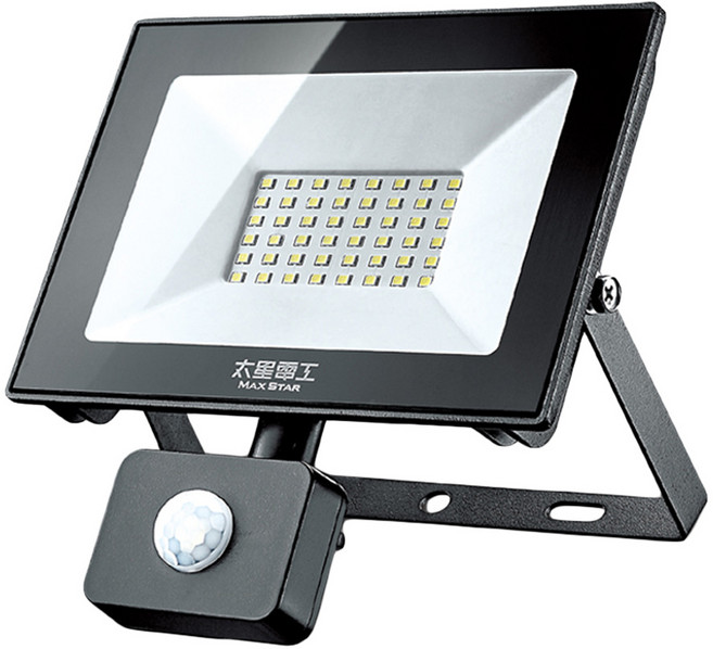 MAX STAR 太星電工 太星電工 LED感應投射燈 30W 110~220V, 1個