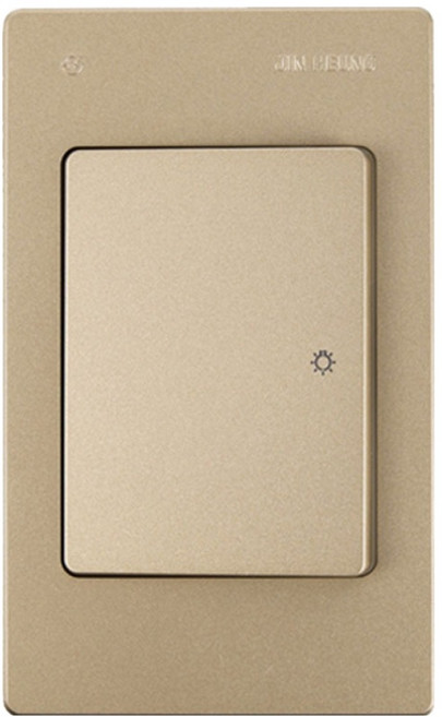 진흥전기 V시리즈 브라운 1구 스위치, 1개