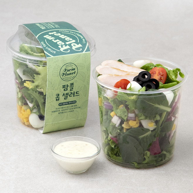 팜플래닛 팜플 콥 샐러드, 205g, 2개