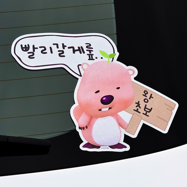 벨르아망 잔망루피 차량용 초보운전 스티커, 그린, 1개