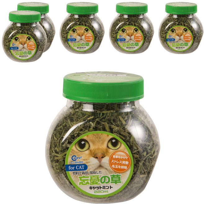 Canary 正午嫩採 貓的薄荷草 C-S420, 貓薄荷, 220ml, 6罐