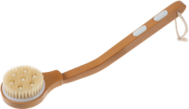 코멧 돈모 스파 바디 브러쉬, 1개, 1개입