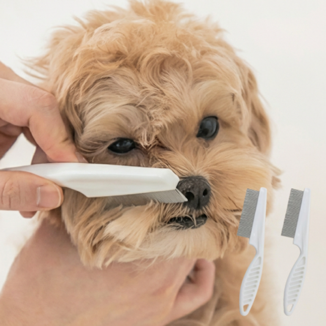 애틱트 섬세한 강아지 고양이 얼굴빗 눈꼽빗 S, 3개