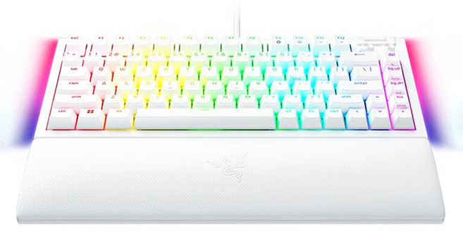 레이저 BlackWidow V4 75% 유선 텐키리스 게이밍 키보드, 화이트, RZ03-0500, 오렌지축