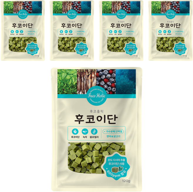 후코홀릭 강아지 수제간식, 후코이단, 120g, 5개