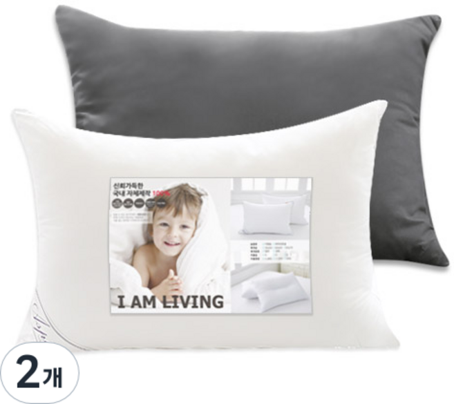 아임리빙 퓨어소프트터치 마이크로화이버 베개솜 + 베개커버 세트, 차콜, 2개
