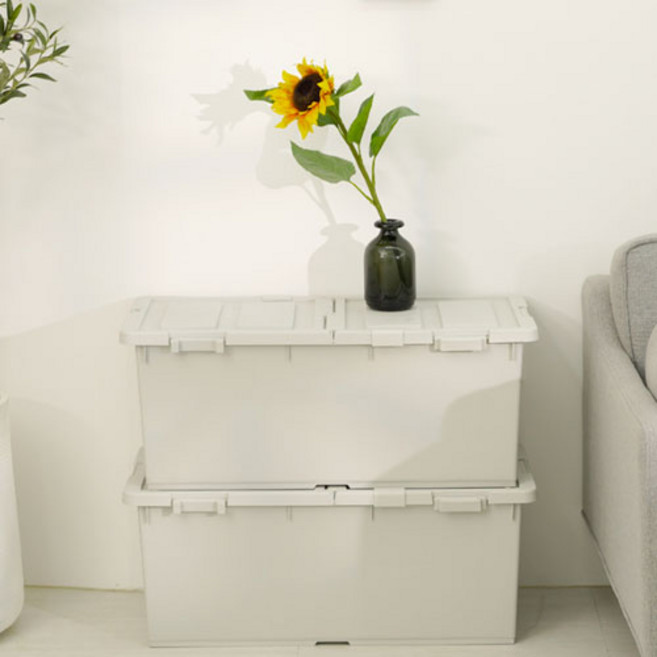 라이피스트 트레인 언더베드 리빙박스, 라이트그레이, 2개