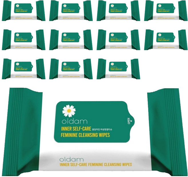 올담미인 여성 청결 물티슈 휴대형, 20매, 12개