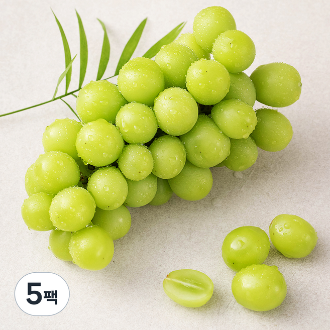 샤인머스캣, 500g, 5팩