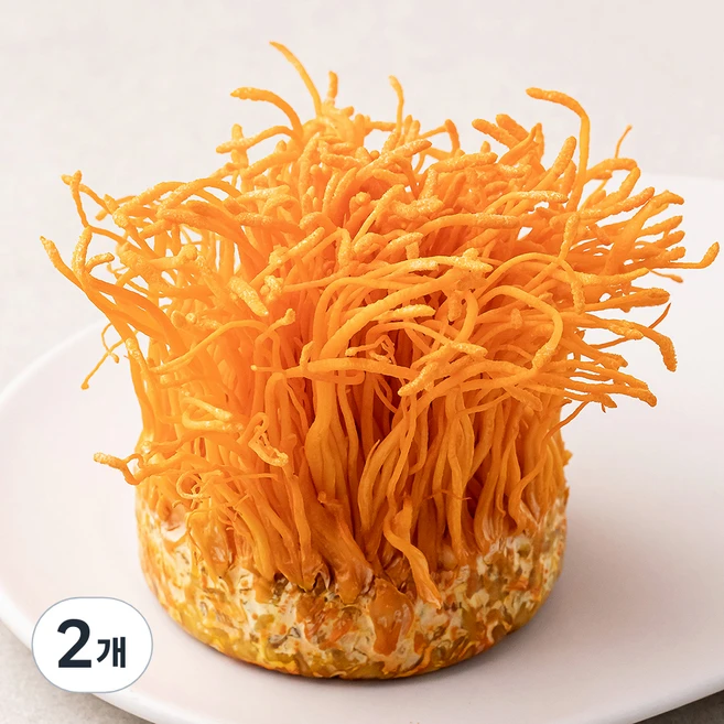 국내산 친환경 동충하초, 170g, 2개 - 쿠팡