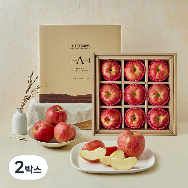 셀렉트팜 A 사과 선물세트 9입, 2.5kg, 2박스