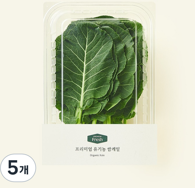 유기농 인증 프리미엄 쌈케일, 100g, 5개