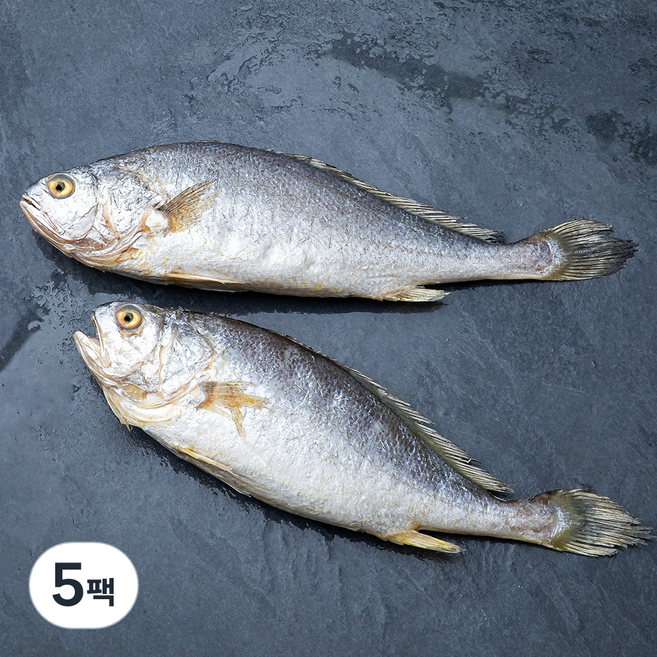 부세굴비 2마리, 480g, 5팩