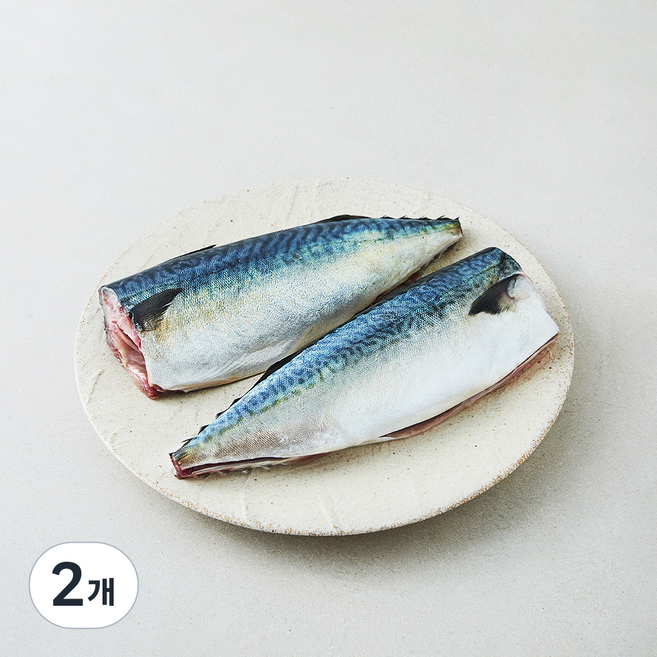 생물 고등어 2미 구이용 (냉장), 2개, 560g