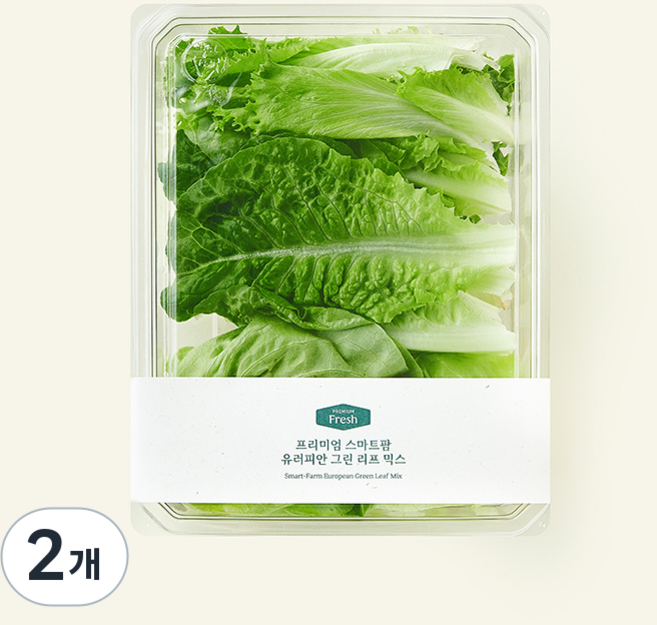 프리미엄 스마트팜 유러피안 그린 리프 믹스, 200g, 2개