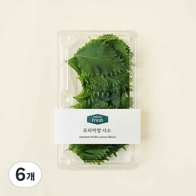 프리미엄 시소, 10g, 6개