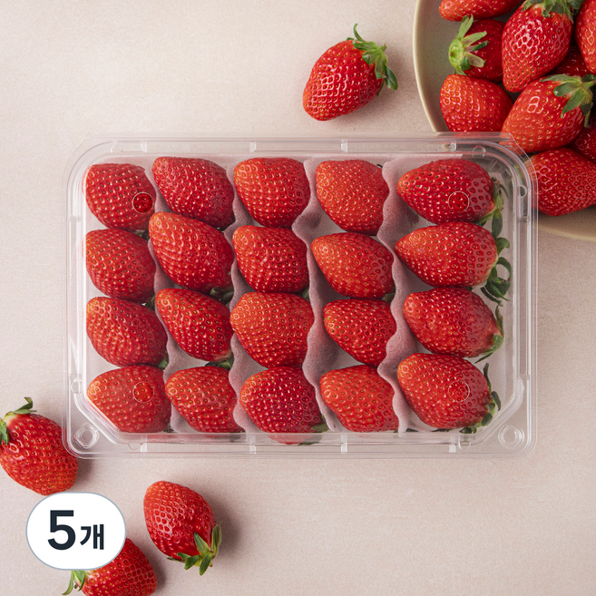 설향 딸기 대과, 500g, 5개