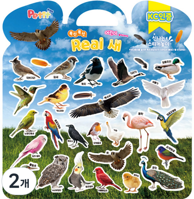 쁘띠팬시 아동용 폭신폭신 놀이스티커 리얼 새, 혼합색상, 2개