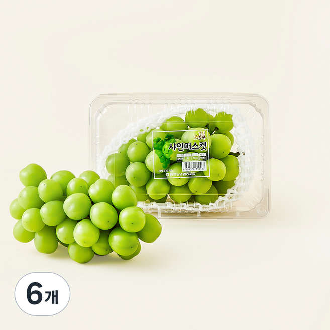 중화농협 상주 고당도 샤인머스캣, 500g, 6개