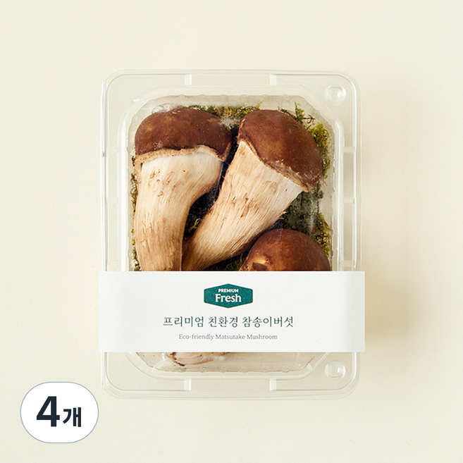 프리미엄 친환경 참송이버섯, 100g, 4개