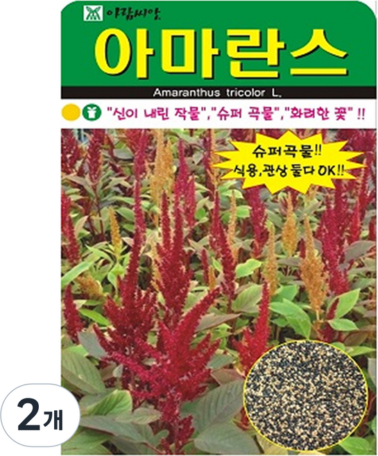 아람종묘 아마란스 꽃 씨앗 4000립, 2개