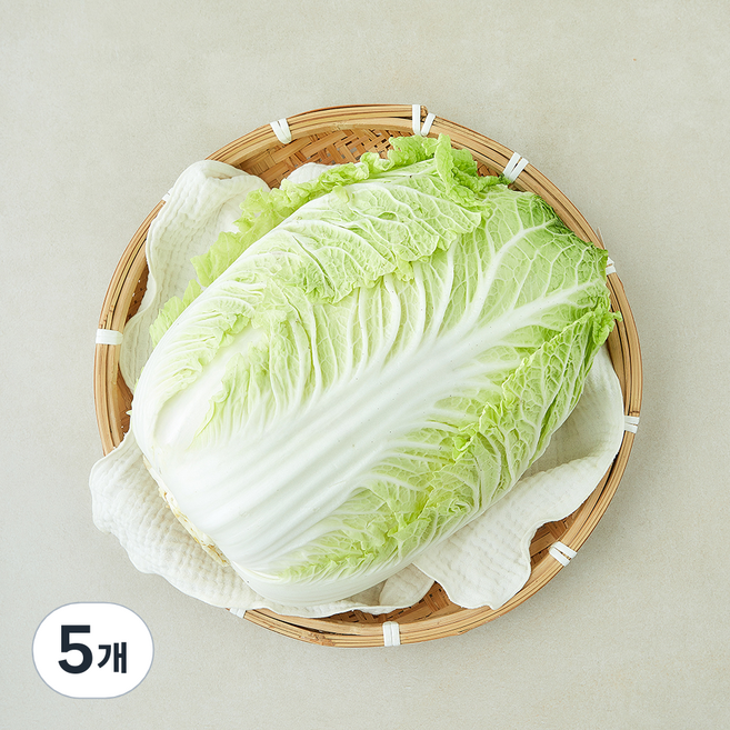 중국산 신선배추, 2kg, 5개, 1개입