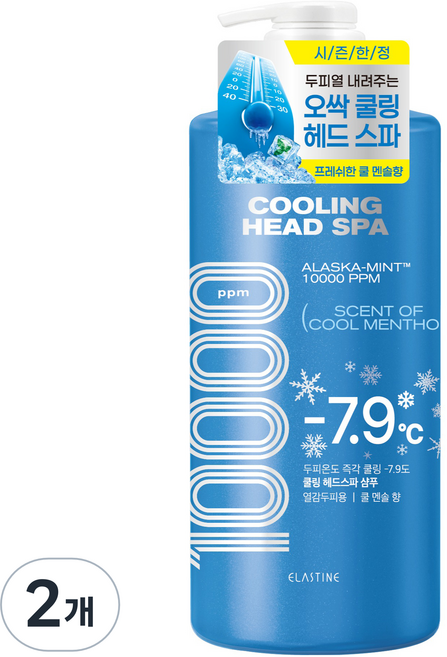 엘라스틴 쿨링 헤드 스파 10000 샴푸 쿨멘솔, 1L, 2개