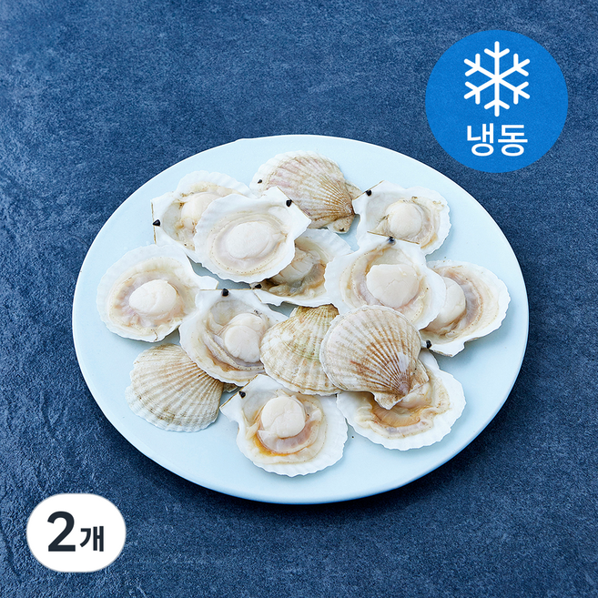 The더착한 반가리비 (냉동), 2개, 720g(28/32미)