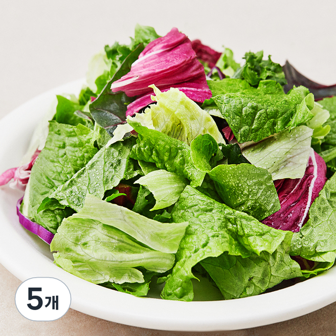 팜플래닛 신선함이 오래가는 그린샐러드믹스 파우치, 250g, 5개